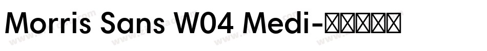 Morris Sans W04 Medi字体转换